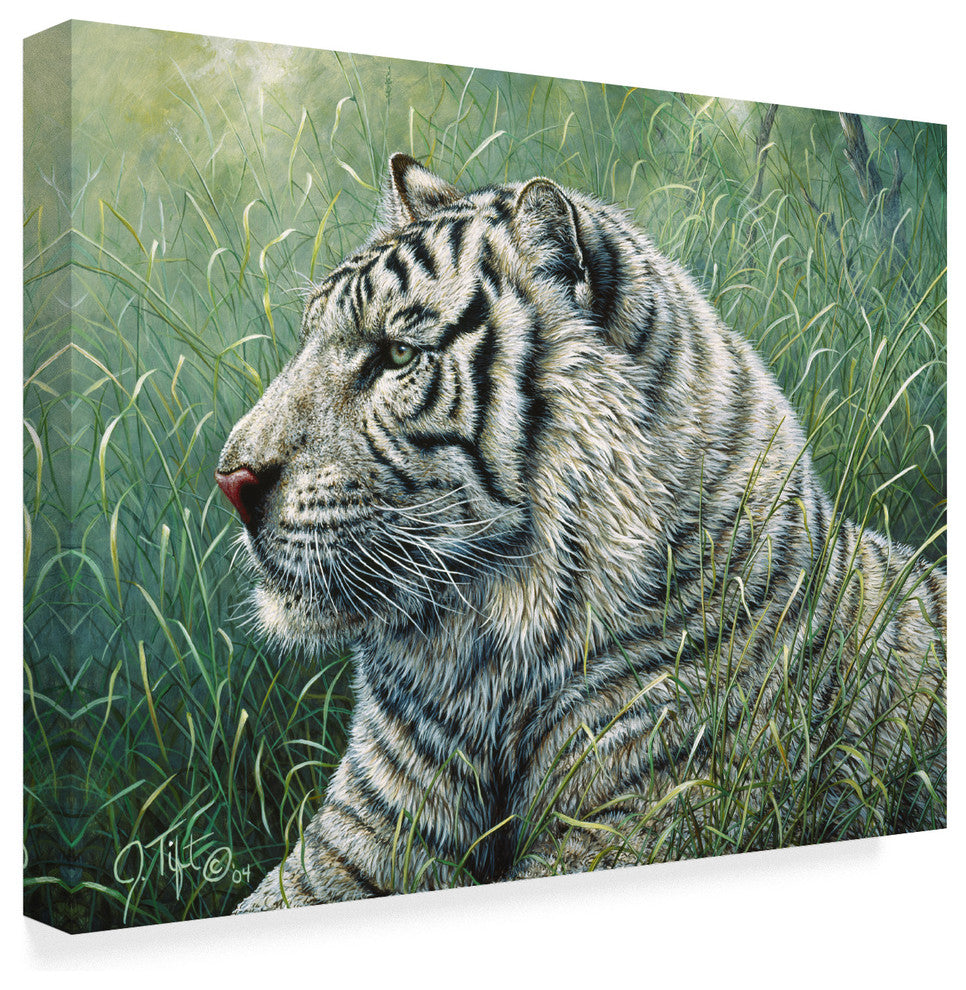 Jeff Tift 'White Tiger' Canvas Art, 47"x35"