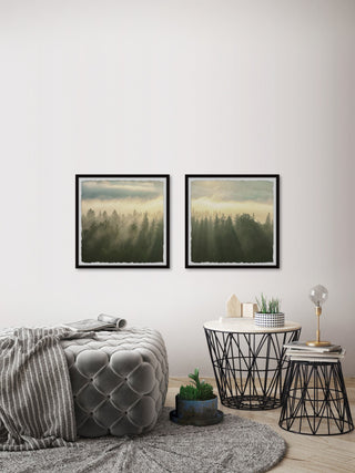 Sunlight Through Trees Diptych, 2-Piece Set, 32x32 Panels
