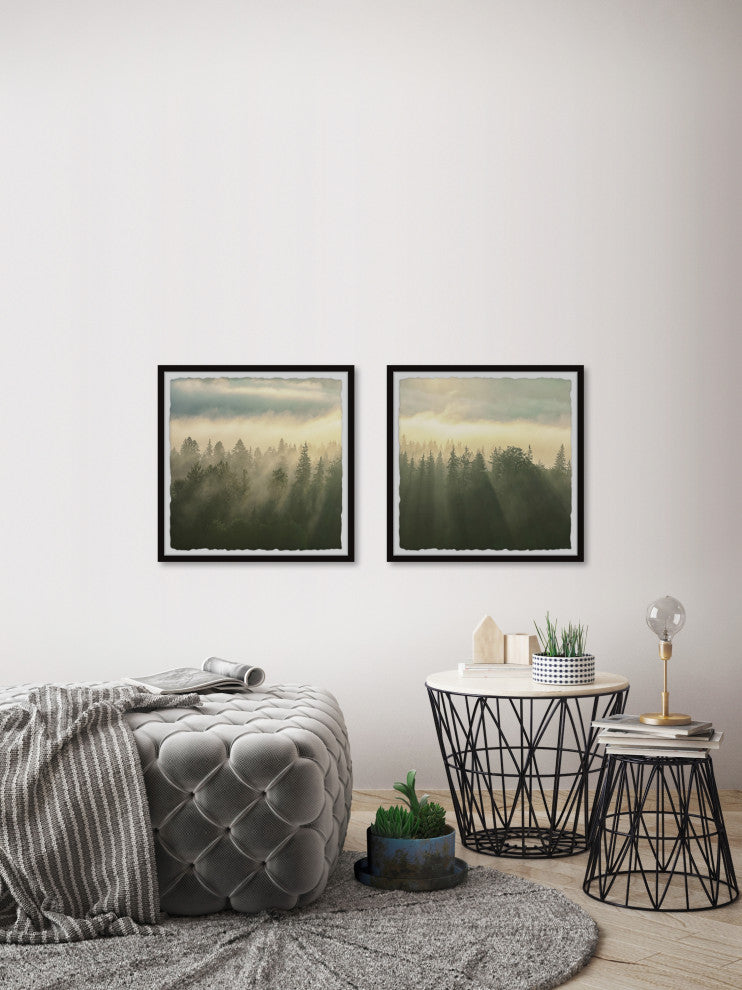 Sunlight Through Trees Diptych, 2-Piece Set, 32x32 Panels