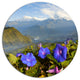 Stunning Mountain Terrain With Flowers, Landscape Disc Artwork, 23"