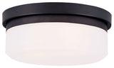 Stratus Ceiling Mount or Wall Mount, Bronze