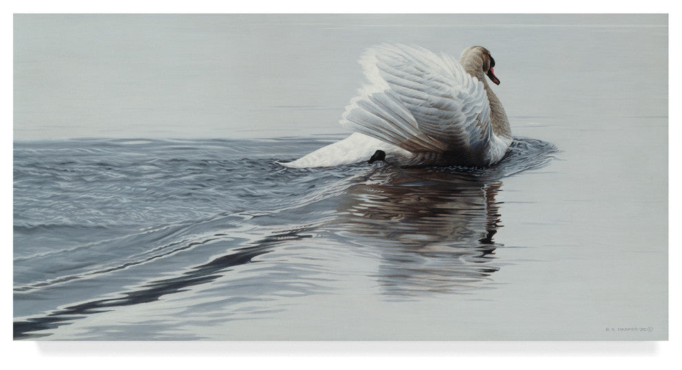 Ron Parker 'Gliding Swan' Canvas Art, 19"x10"