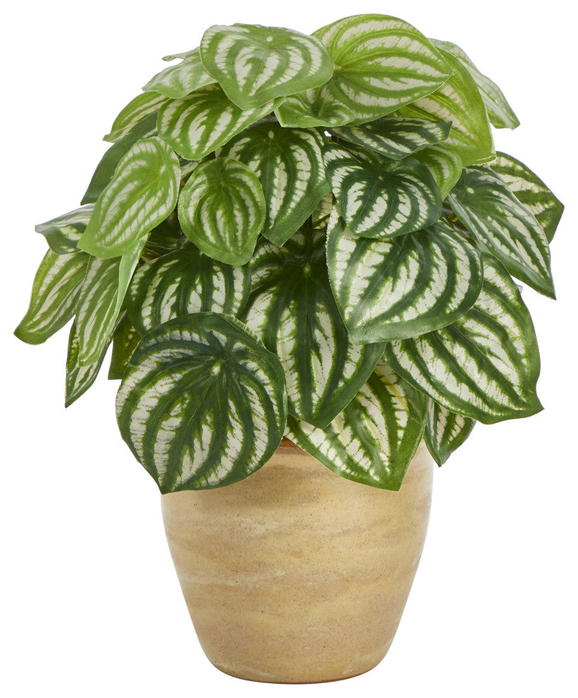 11" Watermelon Peperomia Artificial Plant, Ceramic Planter, Real Touch