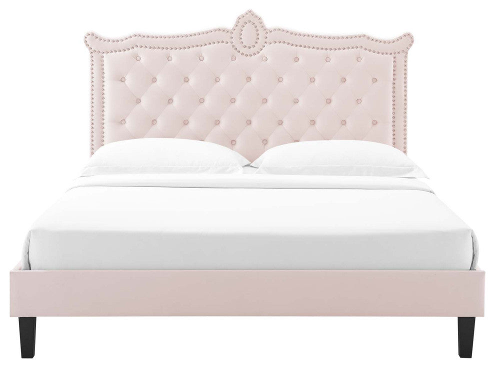 Platform Bed Frame, Nailhead, Queen Size, Pink, Velvet, Modern, Guest Suite
