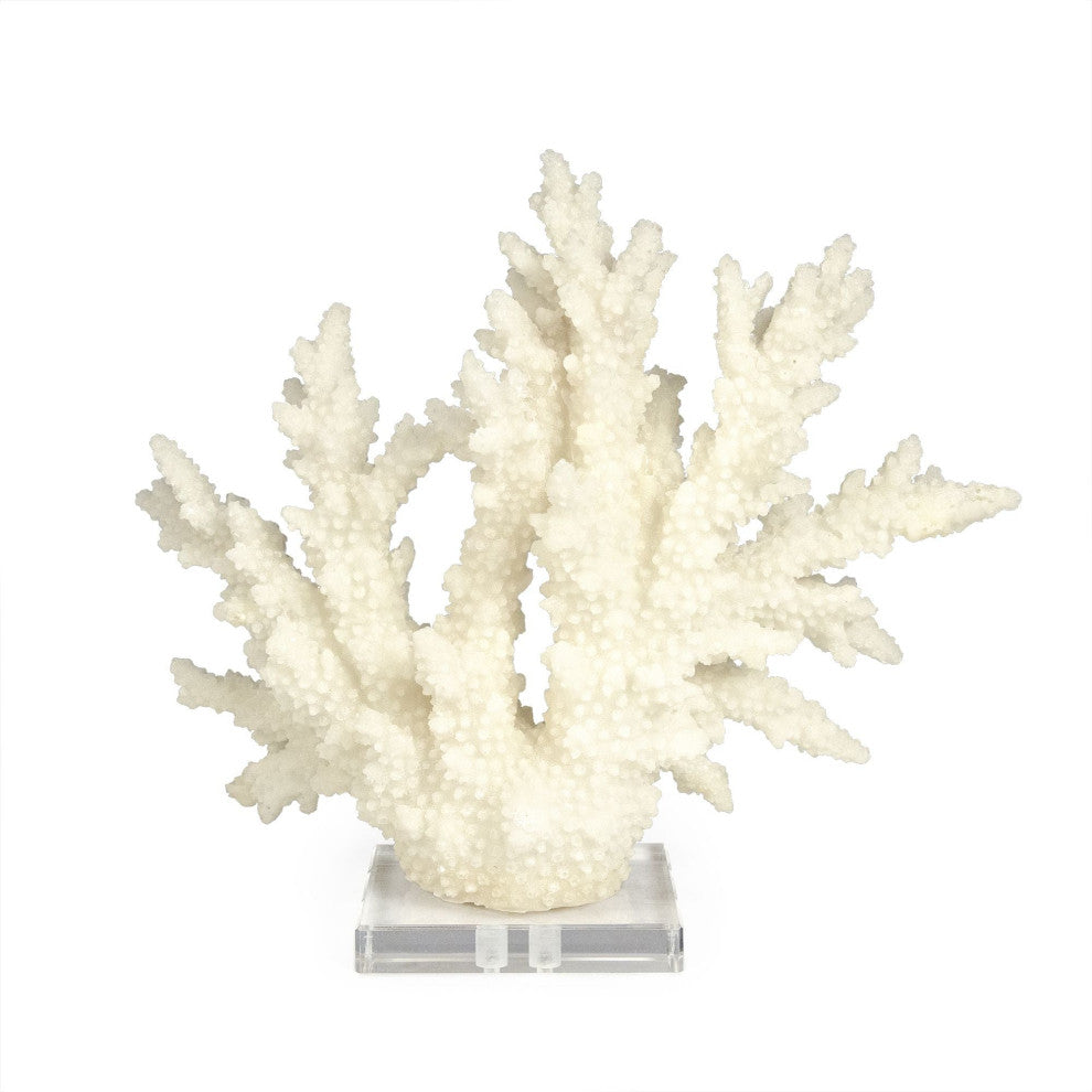 White Coral on Acrylic Base