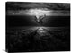 "Underwaterlandream" Stretched Canvas Giclee by Peter Majkut, 22"x18"
