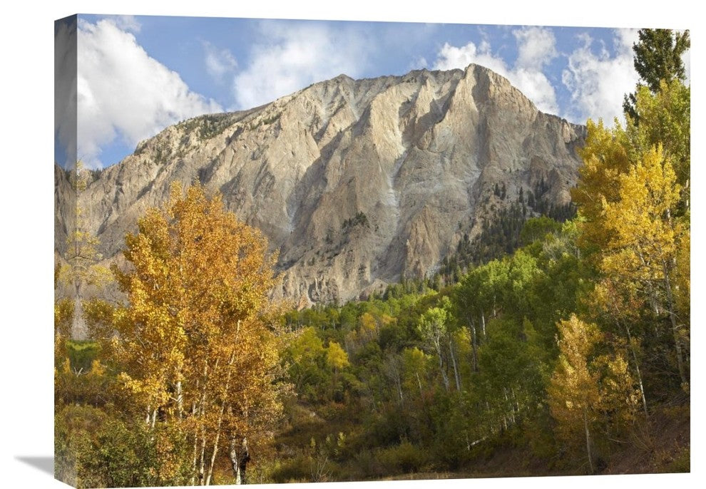 "Marcellina Mountain Near Crested Butte, Colorado" Artwork, 24" x 18"
