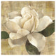 "Gardenia Blossom on Script" Digital Paper Print by Albena Hristova, 42"x42"