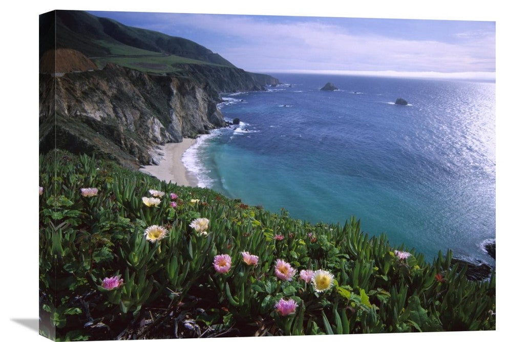 "Ice Plant Or Hottentot Fig Big Sur Coast Near Bixby Creek, California" Artwork