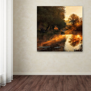 Leicher Oliver 'When Nature Paints With Light' Canvas Art, 18x18