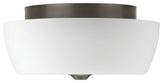 Leap 2-Light Flush Mount