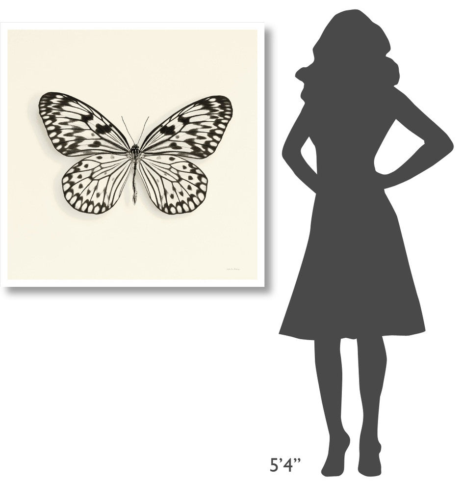 "Butterfly V - BW" Digital Paper Print by Debra Van Swearingen, 38"x38"