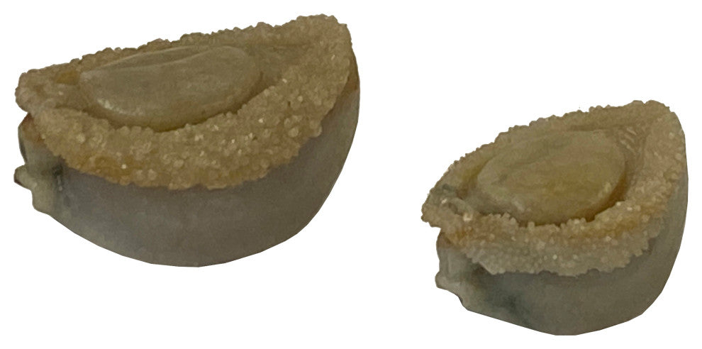 Lot 2 Stone Carved Abalone Shape Display Art, Aws2224