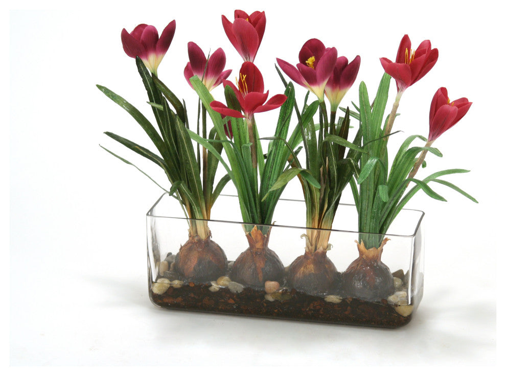 WaterlookÂ® Crocus in Glass with Bark