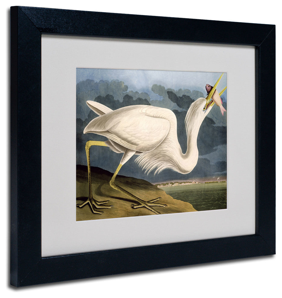 'Great White Heron' Matted Framed Canvas Art by John James Audubon