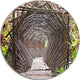Bamboo Tunnel In The Garden, Landscape Disc Metal Artwork, 11"