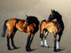 Tile Mural Two Horses By George Stubbs Ara, 6"x8", Matte