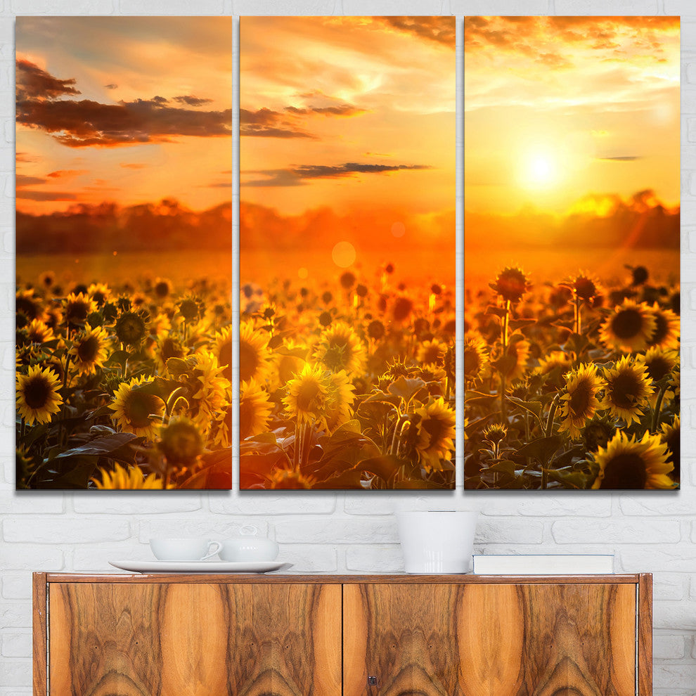"Yellow Sunset over Sunflowers" Photography Wall Art, 3 Panels, 36"x28"