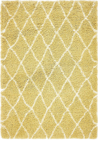 Shag Moroccan Shag 4'x6' Rectangle Saffron Area Rug