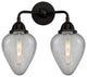 Innovations Lighting 288-2W-BK-G165-LED 2 Light 14.5" Bath Vanity Light