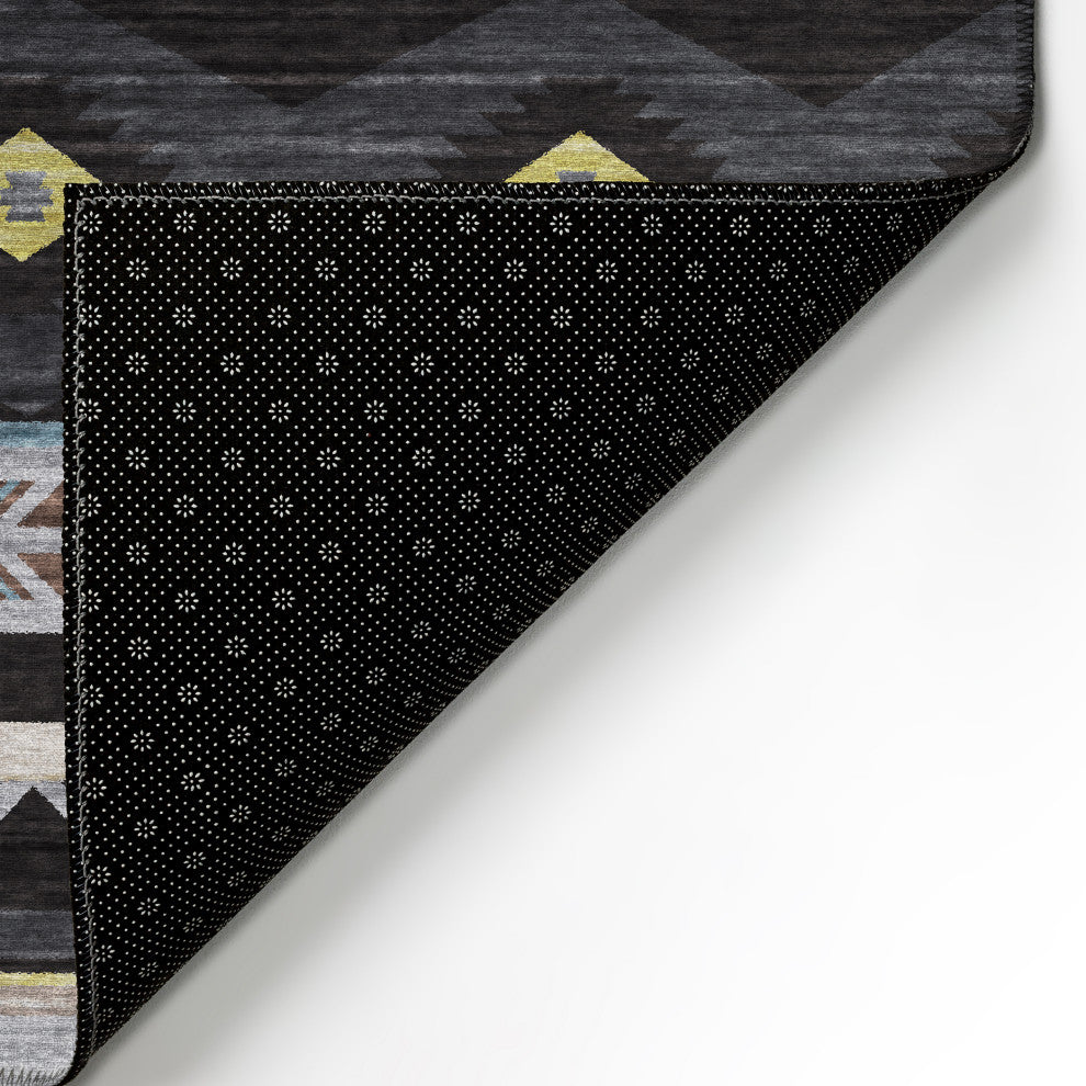 Indoor/Outdoor Phoenix PH3 Black Machine Washable 3' x 5' Rug
