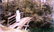 Ilia Efimovich Repin On a Bridge in Abramtsevo - 18" x 27" Premium Canvas Print