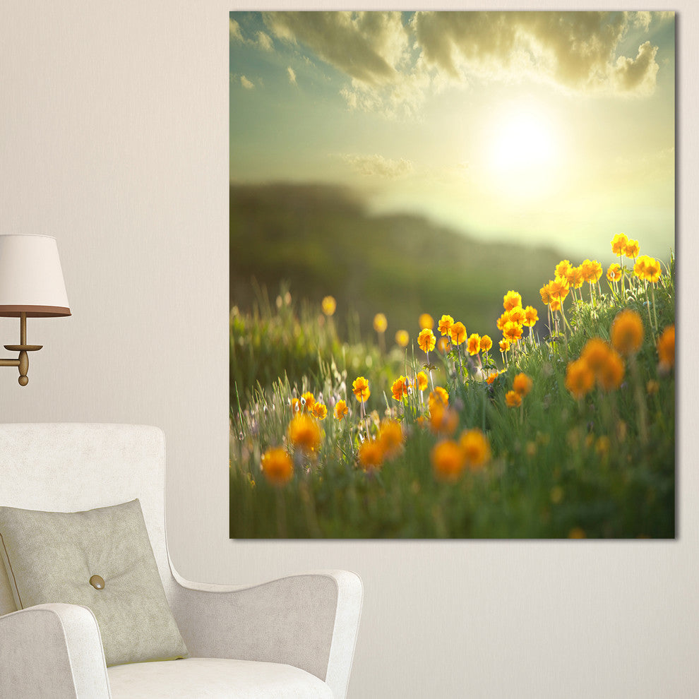 Yellow Flowers in Meadow At Morning, Floral Canvas Art Print, 30"x40"