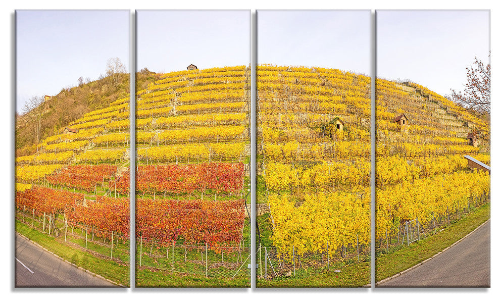 Vineyard Panorama in Autumn, Landscape Canvas Art Print, 48"x28", 4 Panels