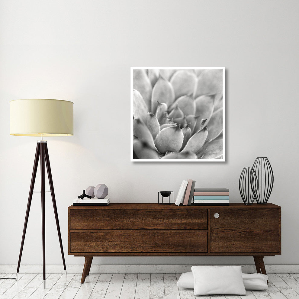 "Garden Succulent I" Digital Paper Print by Laura Marshall, 38"x38"