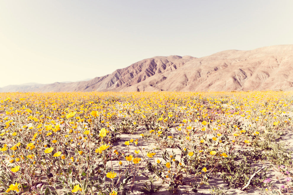 "Mountain View" by Morgan Hartley Painting Print Wrapped Canvas, 18x12