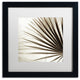Alan Blaustein ''Florison 66'' Art, Black Frame, White Mat, 16x16