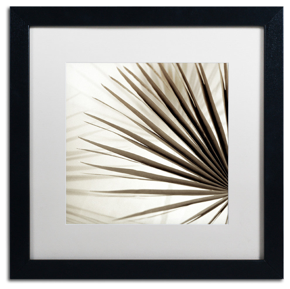 Alan Blaustein ''Florison 66'' Art, Black Frame, White Mat, 16x16