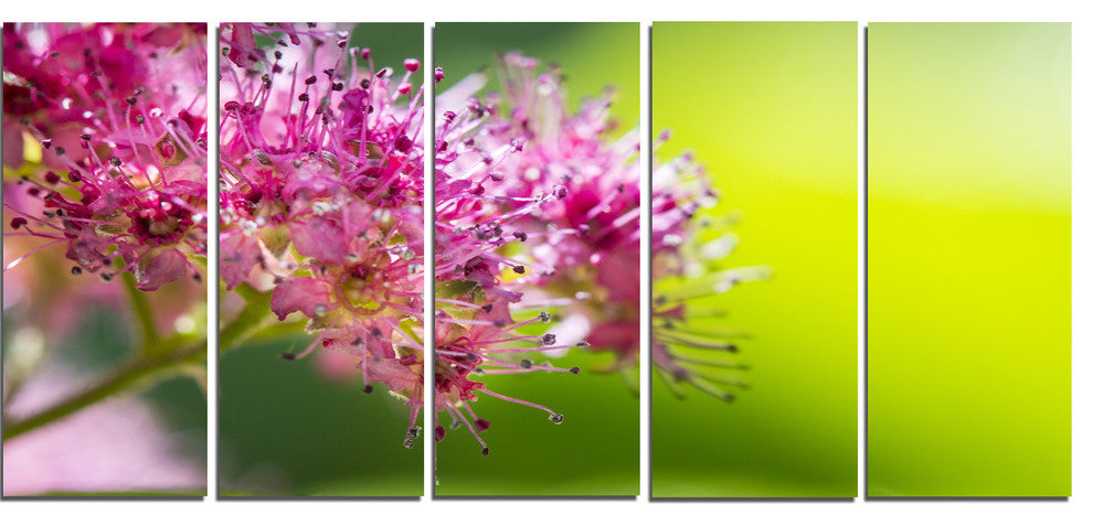 "Pink Little Flowers in Green" Canvas Art Print60"x28", 5-Panels