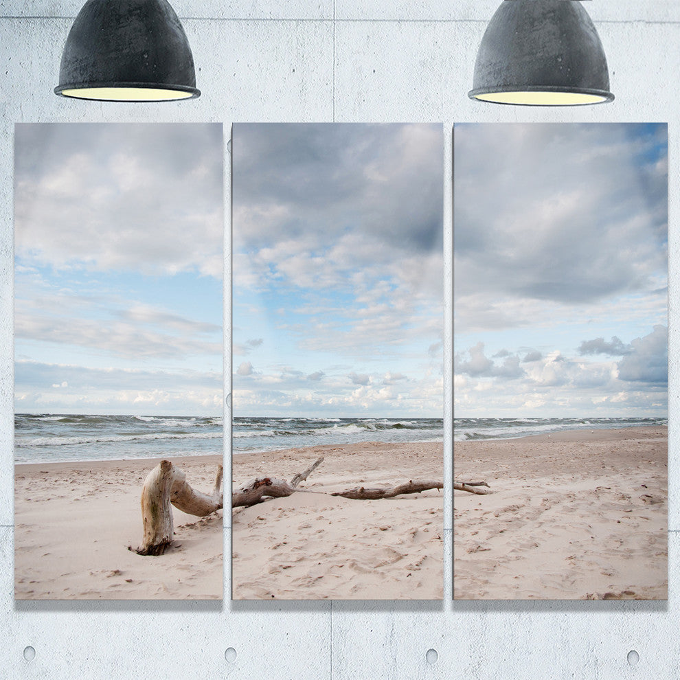 "Large Piece of Wood on Beach" Metal Wall Art, 3 Panels, 36"x28"