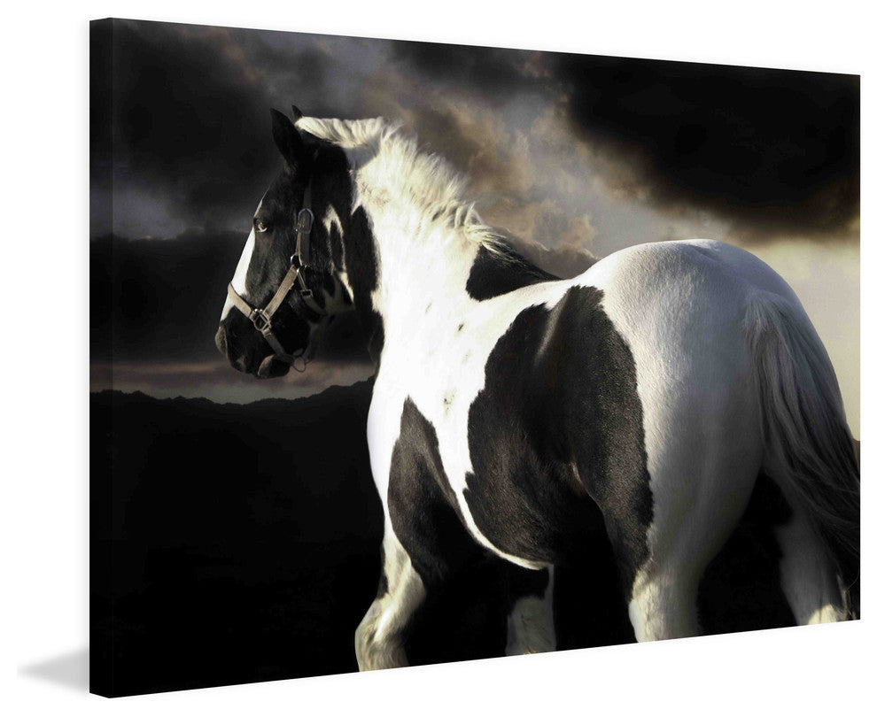 "Halo" Print on Canvas by Maggie Dee