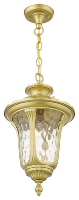 Oxford 1-Light Soft Gold Outdoor Medium Pendant Lantern