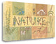 "Nature" By Anita Phillips, Giclee Print on Gallery Wrap Canvas, Ready to Hang