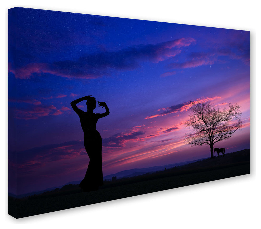 ''Dance for Me'' Canvas Art by Philippe Sainte-Laudy