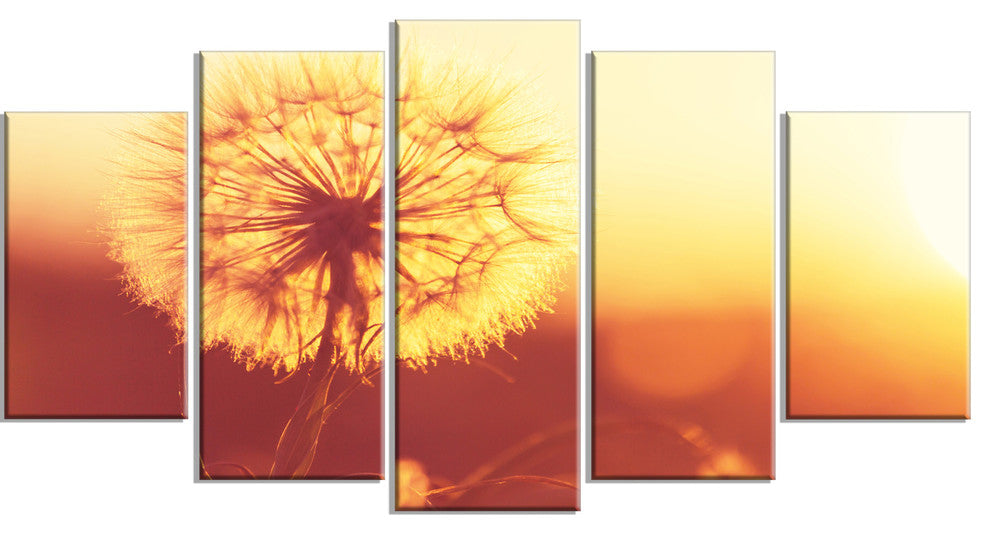 Blossom Dandelion Flower on Brown, Large Flower Canvas Print, 60"x32", 5 Panels
