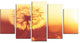 Blossom Dandelion Flower on Brown, Large Flower Canvas Print, 60"x32", 5 Panels