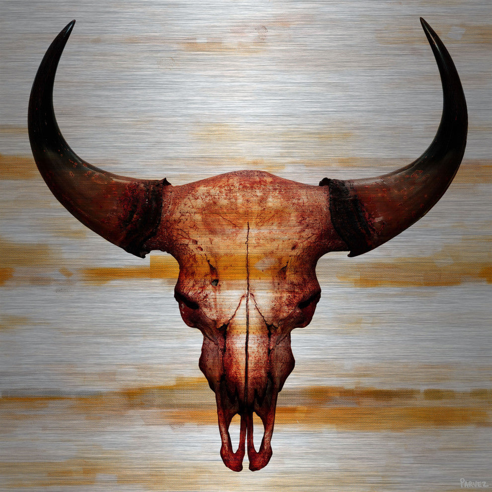"Burnt Orange Skull" Print on Brushed Aluminum, 32"x32"