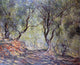 Claude Oscar Monet The Olive Tree Wood in the Moreno Garden Wall Decal
