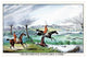 His Reverence Swims Like a Cork- Gallery Wrapped Canvas Art 28" x 42"