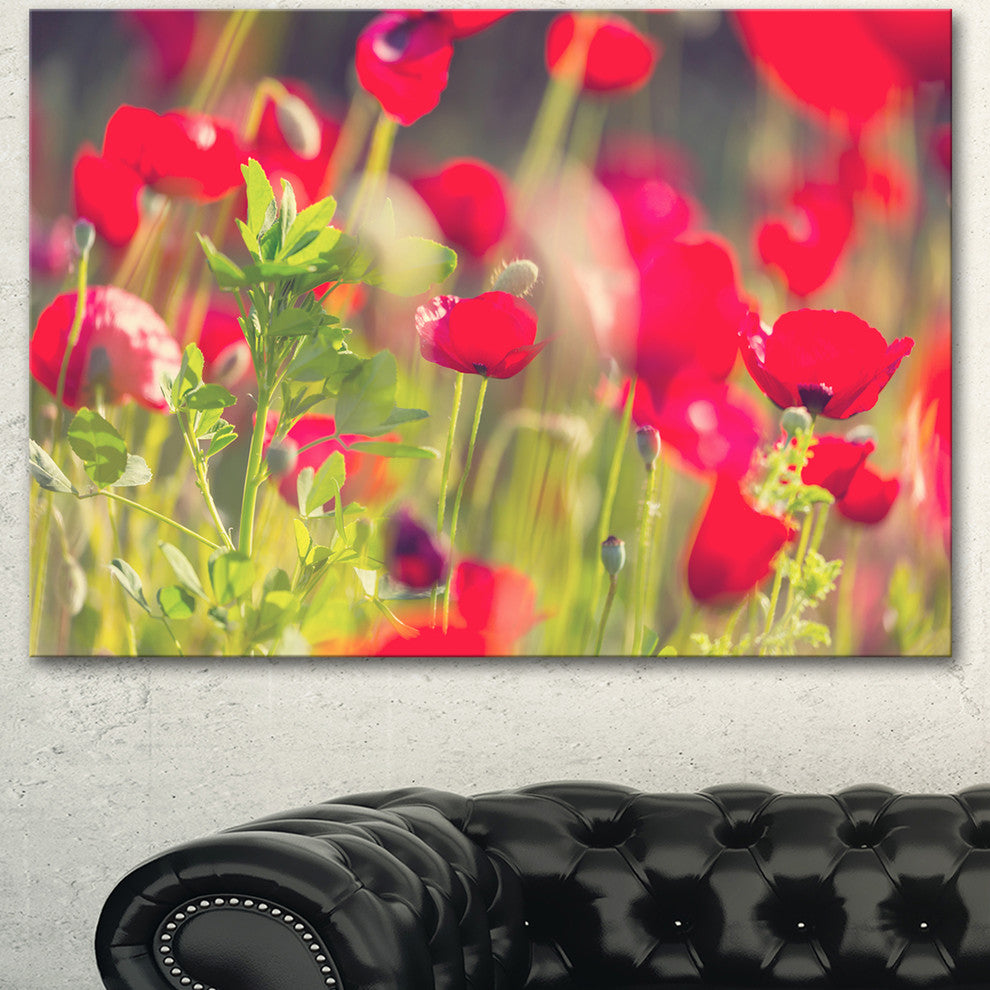 Red Poppies on Green Background, Large Flower Canvas Art Print, 40"x30"