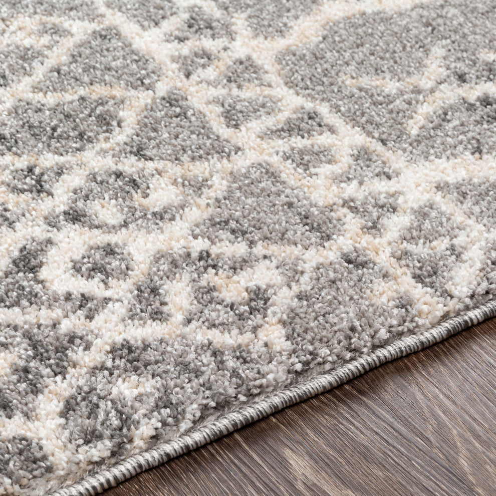 Surya Andorra ARD-2304 5'3" x 7'3" Rug