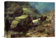 "Across The Big Divide" Stretched Canvas Giclee by David Johnson, 16"x12"