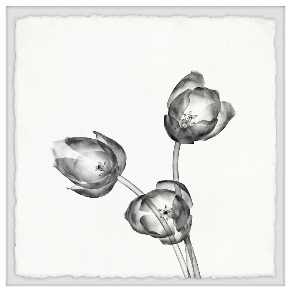 "Trio of Fresh Flowers" Framed Painting Print, 32x32