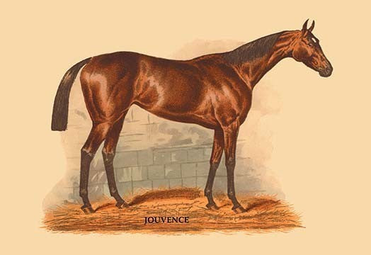 Jouvence - Framed Paper Poster 20" x 30"