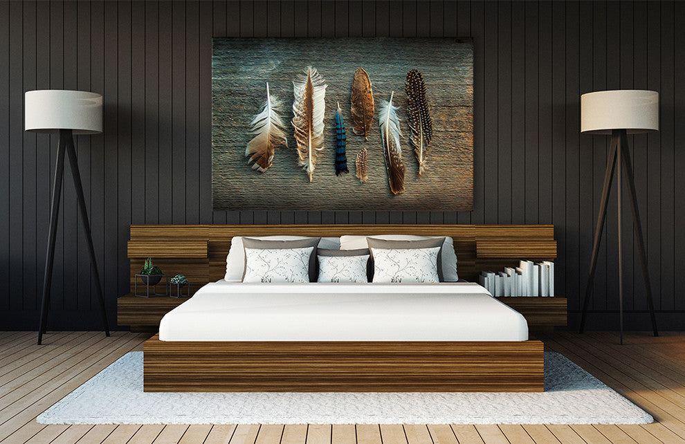Feather Collection I Fine Art Giant Canvas Print 72"X48"