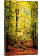 "Passing By" Wrapped Canvas Art Print, 24"x36"x1.5"